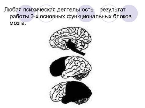 Странности поведения Элиэзера Штернберга - результат работы мозга