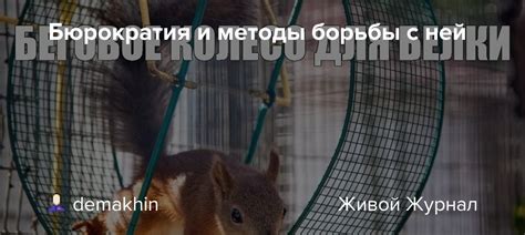 Стратегии и методы борьбы с корпулентным потатором