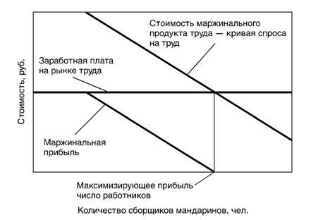 Стратегии увеличения маржинального продукта