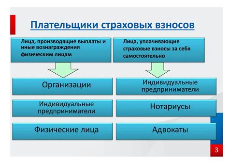 Страховые взносы работодателя: роль и принципы функционирования