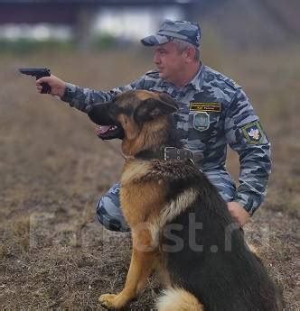 Стрелок ведомственной охраны: роль и задачи