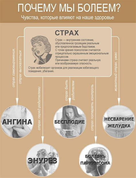 Стресс, эмоции и нервная система