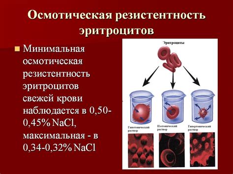 Стрессовая резистентность