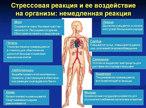 Стрессы и тревожные состояния: возможные причины дергания мышц