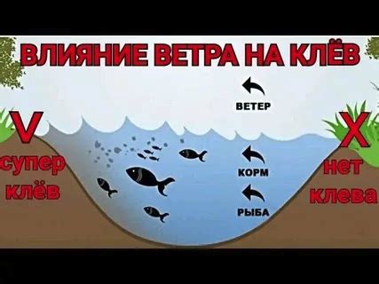 Стресс в рыбоводстве: как он влияет на поведение рыбы