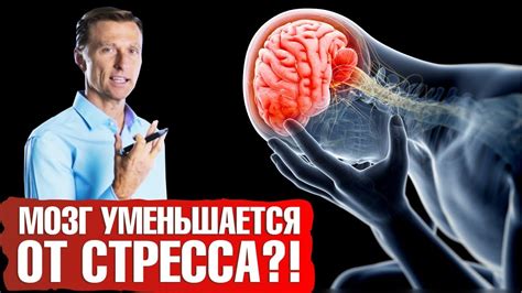 Стресс и вынос мозга: как они связаны?