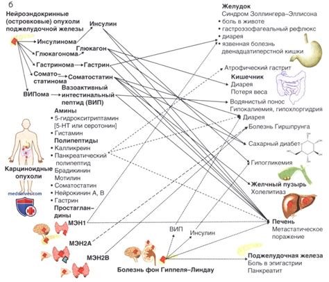 Стресс и психоэмоциональное состояние: влияние на желудочно-кишечный тракт