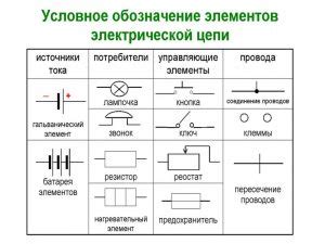 Строение и компоненты ролла: что нужно знать