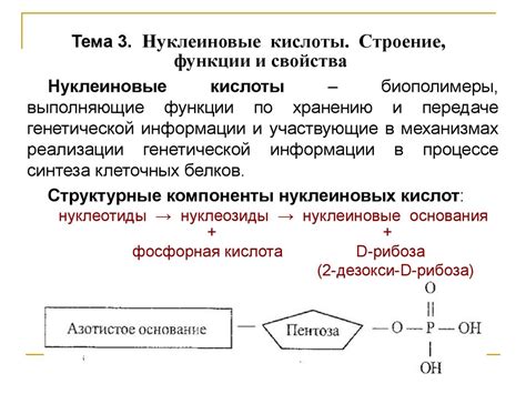 Строение и свойства гопантеновой кислоты