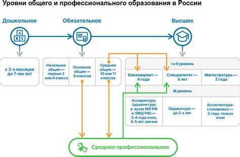 Структура высшего общего образования