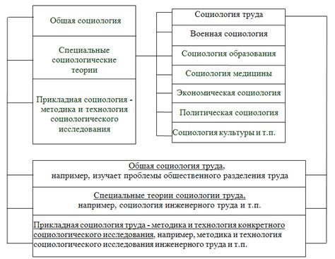 Структура в социологии: общественные группы и их статусы