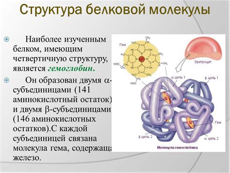 Структура и внешний вид