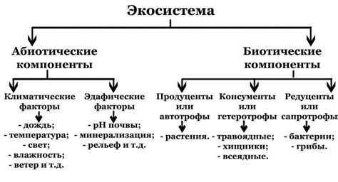 Структура и компоненты инвойса