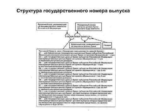 Структура и назначение государственного номера