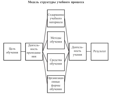 Структура и направления обучения