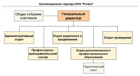 Структура и организация ООО "ОМР"