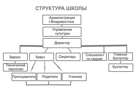 Структура и организация СДЮШОР