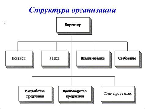 Структура и организация работы организации