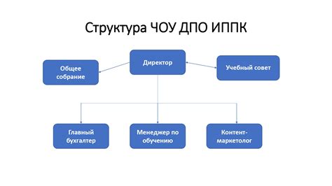 Структура и организация учебного процесса Чоу дпо