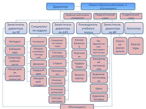 Структура и органы