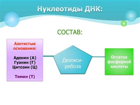 Структура и составляющие критерия