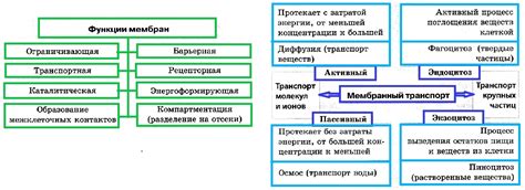 Структура и функции ЦАСБ