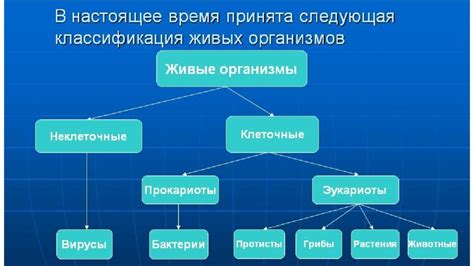 Структура и функции живой материи