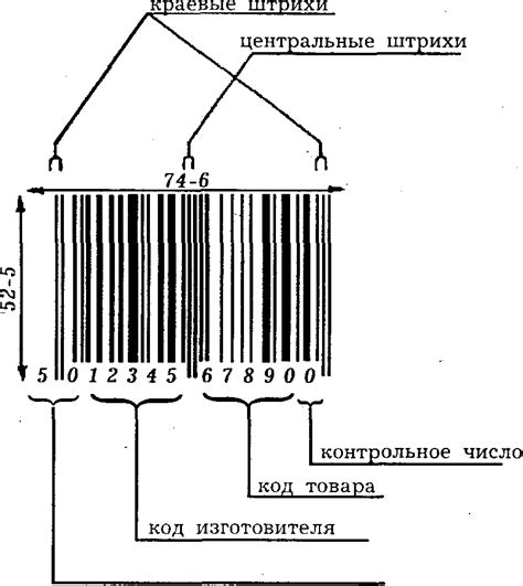 Структура кодов