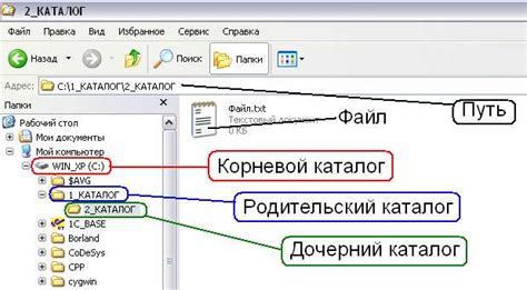 Структура корневого каталога и его роль