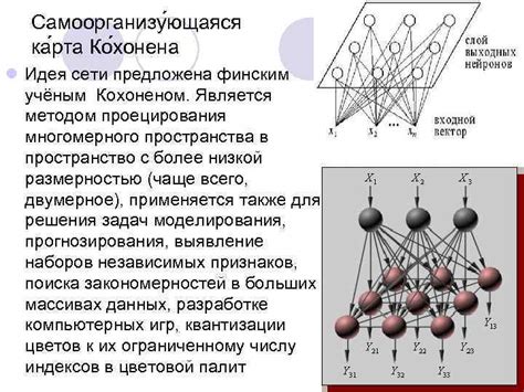 Структура нейронных связей