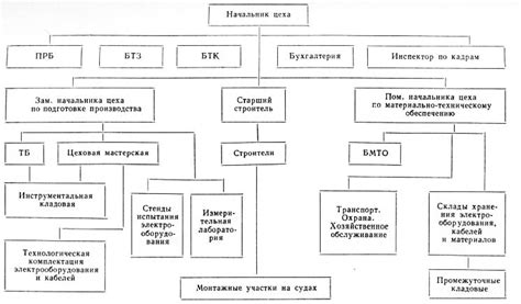 Структура первой категории один тридцать дам