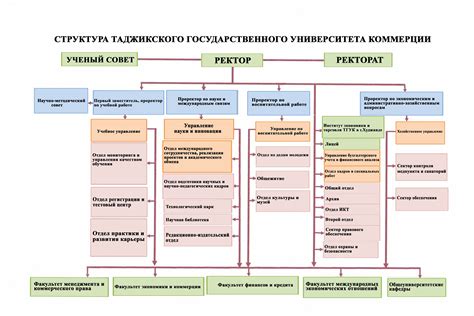 Структура университета