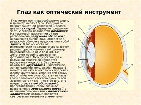 Субиктеричный склеры: понятие и его характеристика