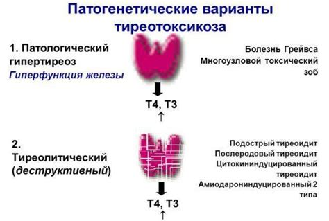 Субклинический тиреотоксикоз у беременных