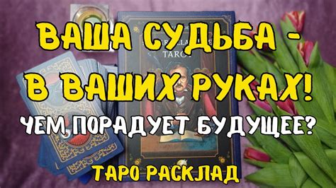 Судьба пиццы в ваших руках: