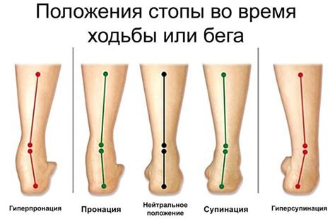 Супинация vs пронация: разница и сходство