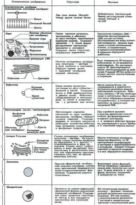 Суррогаты: роль и функции