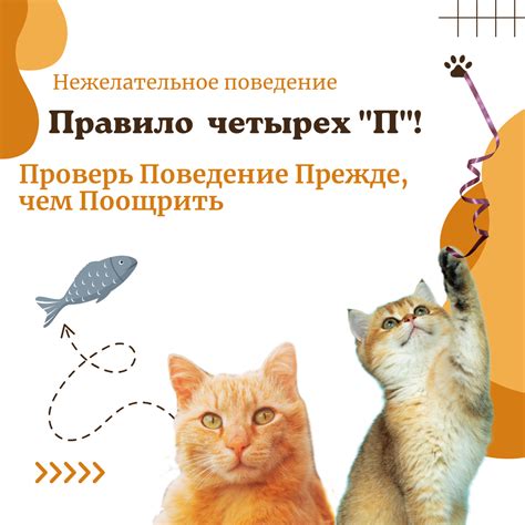 Суть поведения кошек