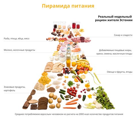 Сухая пища: основные преимущества и полезные свойства