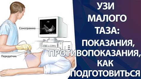 Существуют ли противопоказания для УЗИ малого таза?