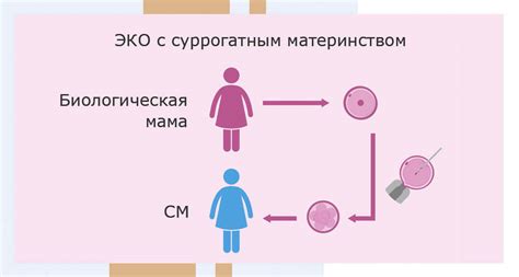 Сущность суррогатного материнства