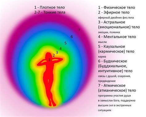 Сущность электризации организма