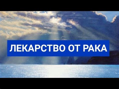 Сферы применения фразы «Кто может вместить да вместит»