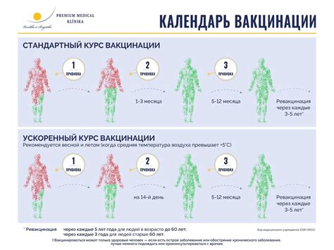 Схема проведения прививки КДС2