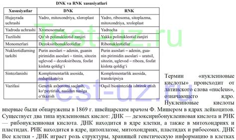 Сходства и различия между Нан и Симилак