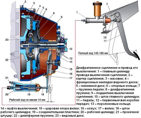 Сцепление двух наук