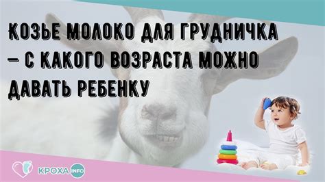 С какого возраста можно начинать давать козье молоко новорожденному ребенку: советы экспертов