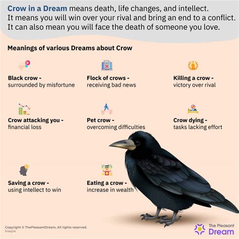 Сymbolism of a crow in a dream