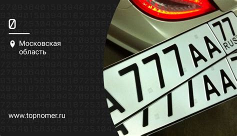 ТТТ номера для автомобилей: какие они бывают и что означают?