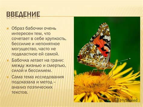 Таинственная природа бабочки: грань между жизнью и смертью